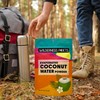 Wilderness Poets, 100% Evaporated Coconut Water Powder - No Maltodextrin,