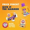Arm & Hammer 3 Pack - Arm & Hammer Pure