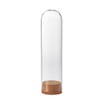 Paseo Cork Glass Dome NL Size: Approx. φ0.4 inches (10