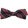 [8] Striped Bow Tie with Polka Dots, G - Red