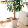 Yamazen STR-23 (BE) Natural Stone Sheet, Sold Separately, Diameter 9.1