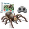 Discovery RC Tarantula Spider Remote Control Toy with Glowing Eyes