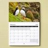 British Animal 2025 Wall Calendar Featuring Stunning Photography of Animals
