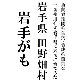 Toyoyo Iwate Prefecture Grown Duck in Tanohata Village, Iwate Prefecture, Carefully Selected Thigh Meat 21.2 oz (600 g) with Truffle Salt (Approx. 10.6 oz (300 g) x 2 Sheets) [No antibiotics or