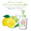 hadakara Body Soap, Smooth Feel Type, Green Citrus Scent, 18.0
