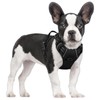 rabbitgoo Dog Harness No Pull with 2 Leash Clips, Adjustable