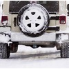 Swono 2 inch Tow Hitch Cover Black Horse Pattern Rubber