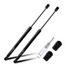 Rear Hatch Tailgate Lift Supports Gas Shock Struts Compatible with
