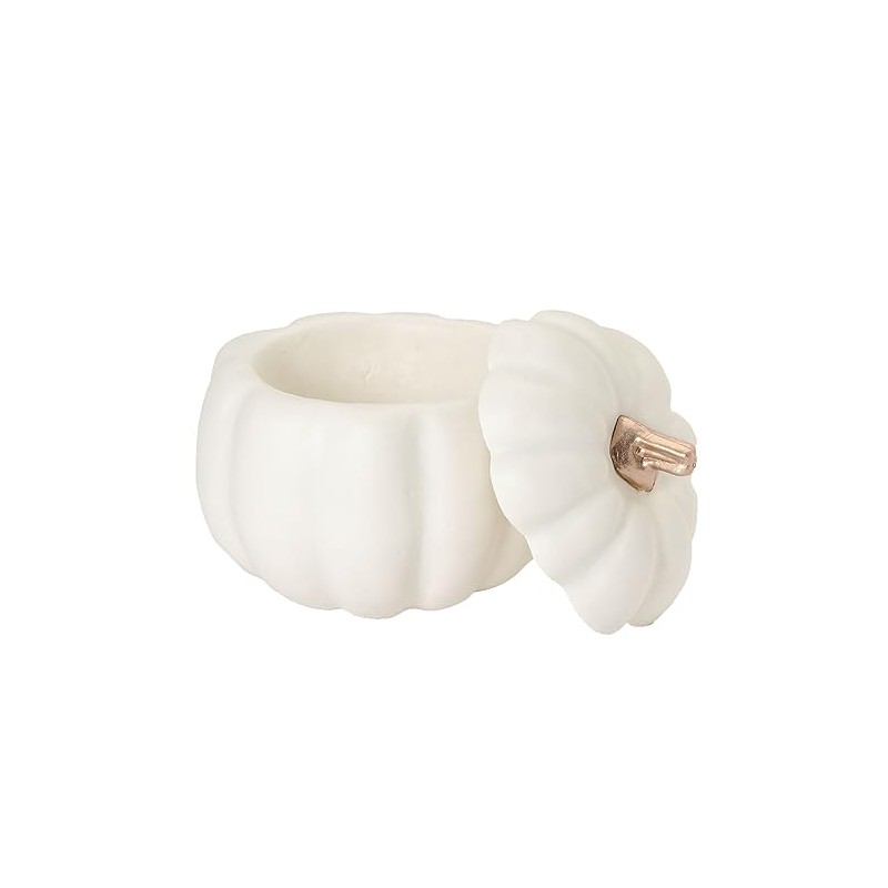 Tokyodo Decoration Pumpkin with Lid, White, Φ3.9 x H3.9 inches