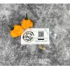 Soda City Greens MOA Scotch Bonnet Pepper Seeds 10+
