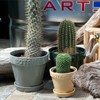 Dulton Botany Pot 4 Beige Embossed Logo and Earth Color