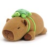 SQEQE Weighted Stuffed Animals Capybara Plush, Weighted Capybara Stuffed Animals with Turtle Backpack, Soft Pillow Toy for Kids Adults, Birthday Present 9.8 Inch, 0.8 Lb