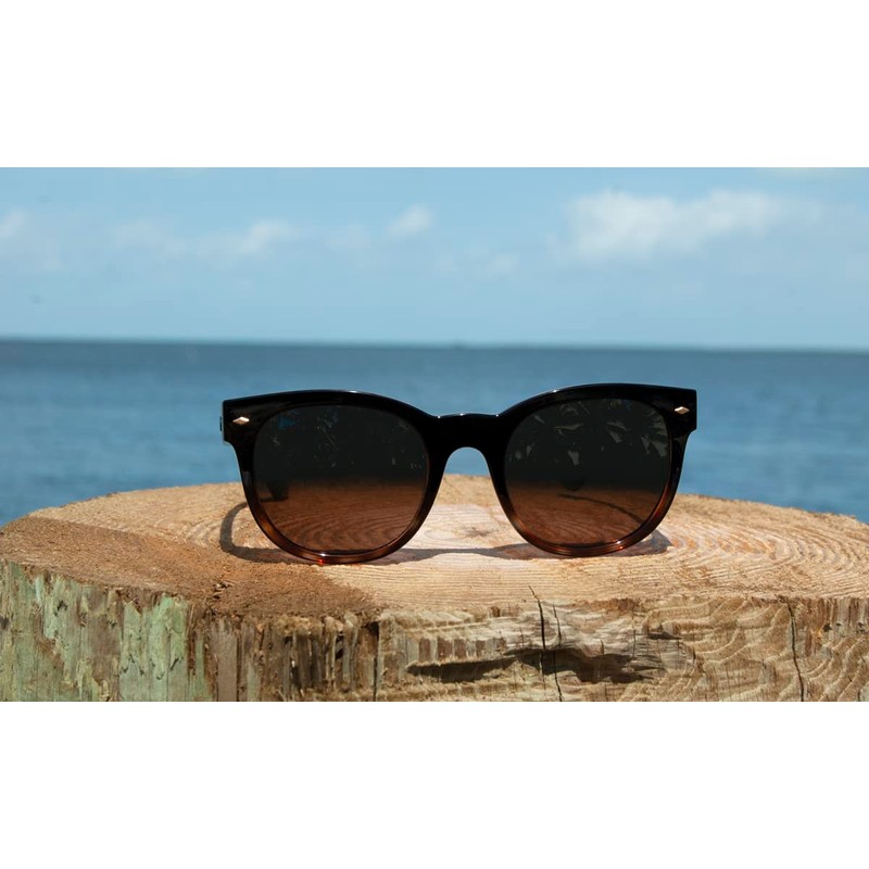 Flying Fisherman Unisex's Careen Sunglasses, Gloss Black Frame/Amber Lens, Medium