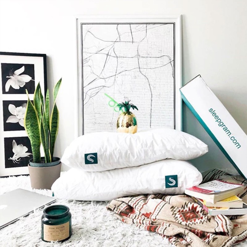 Sleepgram 2-Pack Cooling Bed Pillows & Removable Cover for Sleeping