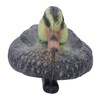 Floating Duck Decoy, Realistic Lifelike Motion Hunting Decoy Decoration, Plastic