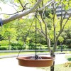 Hanging Bird Bath with Solar Fountain Pump - Multi-Function<wbr/>al for