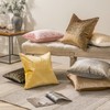 Phantoscope Pack of 2 Bronzing Velvet Decorative Throw Pillow Covers