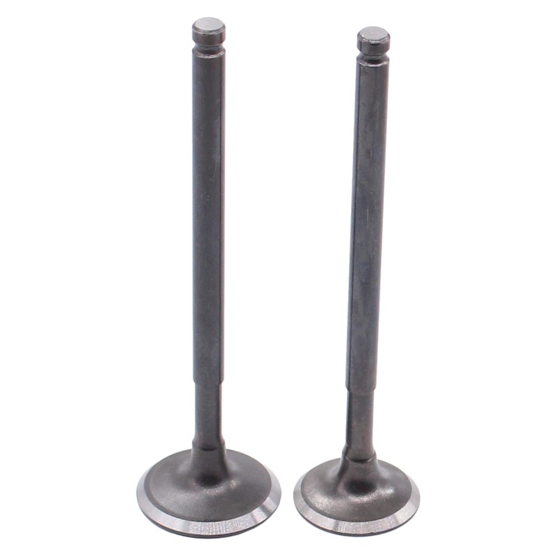 ApplianPar Cylinder Intake and Exhaust Valve Spring Head Gasket kit