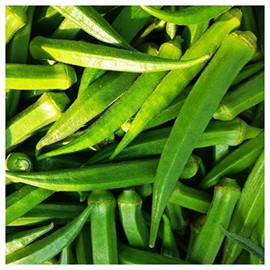 Everwilde Farms - 1/4 Lb Organic Perkins Long Pod Okra Seeds - Gold Vault