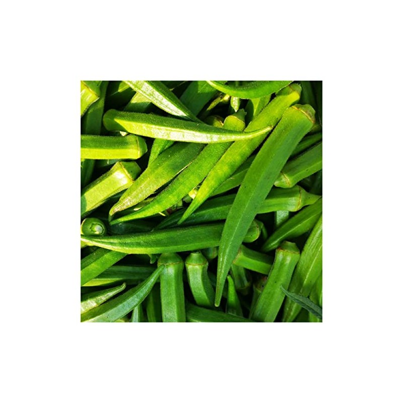 Everwilde Farms - 1/4 Lb Organic Perkins Long Pod Okra
