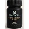 Te Polvo Hongo Reishi