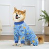 Pupsooft Recovery Suit for Dogs Full Zipper, Four-Legged Onesie Dog