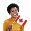 50 Packs Small Canada Flags on Handheld Stick，Miniature Canadian Flag