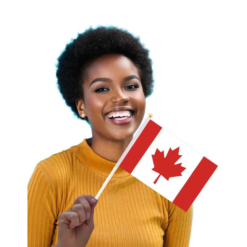 50 Packs Small Canada Flags on Handheld Stick，Miniature Canadian Flag