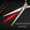 Professional 5.5 Inch Hair Scissors Shears Premium Stainless Steel for