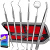 G.CATACC Dental Tools, Dental Pick Teeth Cleaning Tools Hygiene Kit,