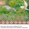 Bird Spikes 15 Feet Stainless Steel Pigeon Deterrent Spikes for