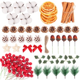 LEUOSO Christmas Wreath Making Supplies, 215Pcs Xmas Wreath Making Kit Artificial Berries Pine Branches Dried Orange Slices Acorn Cinnamon Stars for Christmas Wreath Craft Decoration