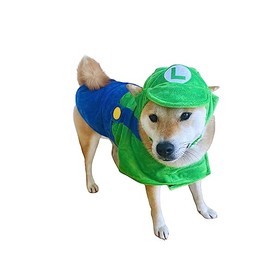ComfyCamper - Disfraz de perro para cachorros, cachorros, gato, gatito, mascota, overoles de súper hermanos accesorios de Halloween, talla XL, verde