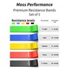 Moss Performance Premium Resistance Bands, for Physical Therapy, Strength Training,