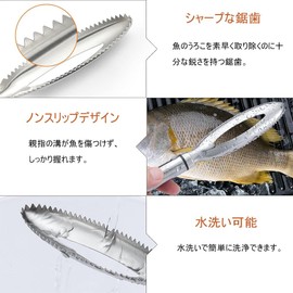 DFsucces 3-Piece Scale Remover Tweezer, Bone Tweezer, Stainless Steel Fish Scale Remover, Convenient Operation, Fish Bone Remover, Cookware, Fish Cleaning Tools, Kitchen Tools