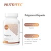 Nutritec Nutritec Polyporus medicinal mushroom 120 capsules high dosage, dietary