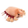 Giant Microbes Crab Louse (Pthirus Pubis) 6" Plush