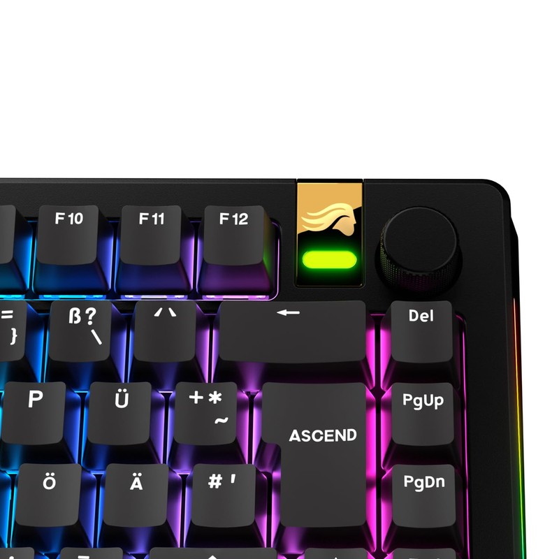 Glorious Gaming - GPBT Basics (PBT Keycaps), 8 Colours, Colourfast