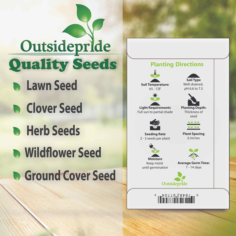 Outsidepride 1000 Seeds Annual Nigella Rose Love-in-a-Mist Flower Seeds for