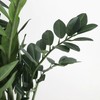 Artificial ZZ Tropical Plant in Pot - 30"