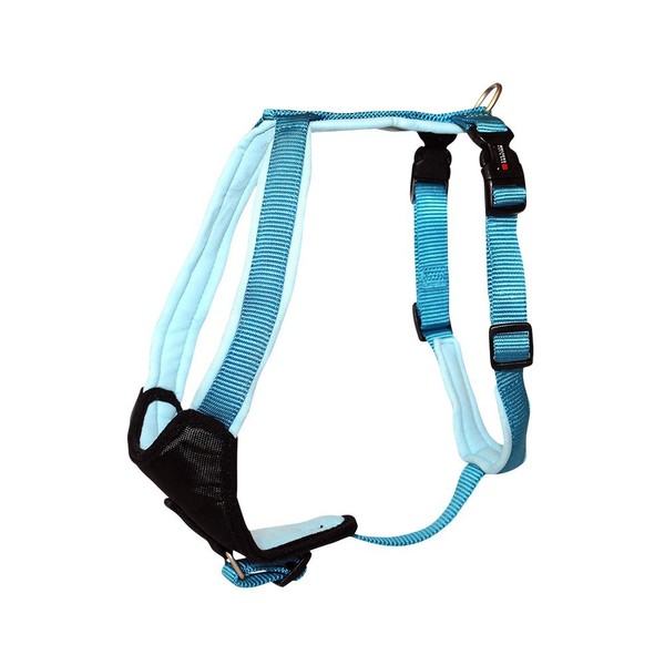 Geschirr Professional Comfort Gr.5