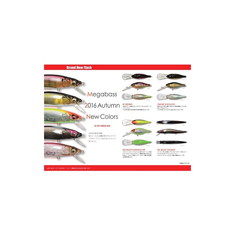Megabass Lure DEEP-X300 BIWAKO Blue 36043