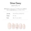 DASHING DIVA Magic Press Silver Dewey Nail Tips, 30 Tips,