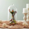 Farmlyn Creek Glass Cloche Dome Bell Jar Display Case with