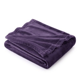 Bedsure Fleece Blanket Sofa Throw - Versatile Blanket Fluffy Soft Throw for Bed and Couch Throw/Single, Purple, 130x150cm