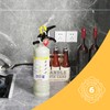 Ougist ABC Dry Powder Fire Extinguisher, 2.5 lb – 1-A:10-B:C