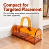 Reusable Mouse Trap Cage for Home & Garden – Plastic