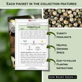 Sow Right Seeds - Tomatillo Seeds Garden Collection for Planting - Non-GMO Heirloom Packet with Instructions to Plant a Home Vegetable Garden - Toma Verde and Purple - Mexican Husk Tomato for Salsa