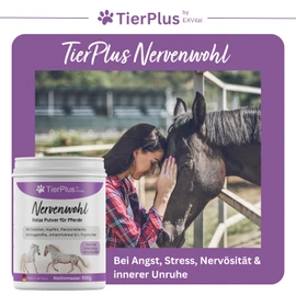 TierPlus TierPlus Nervenwohl Relax Pulver f1r Pferde, mit Mit Baldrian, Hopfen, Lein?l, Passionsblume, Ashwagandha, Johanniskraut & L-Tryptophan, 900g Dose, hochdosiert & mit Soforteffekt!