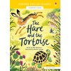 Hare and the Tortoise